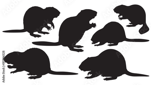 Beaver Silhouettes in Various Poses with Black Color on White Background for Wildlife Illustration