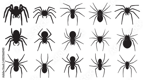 Black Spiders Silhouettes in Various Poses on White Background for Entomology Illustration