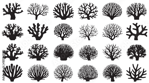 Coral Silhouettes Collection in Various Shapes and Textures on White Background for Marine Life Illustration