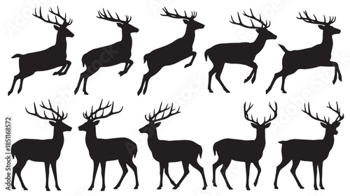 Deer Silhouettes in Various Poses with Antlers in Black on White Background for Wildlife Illustration