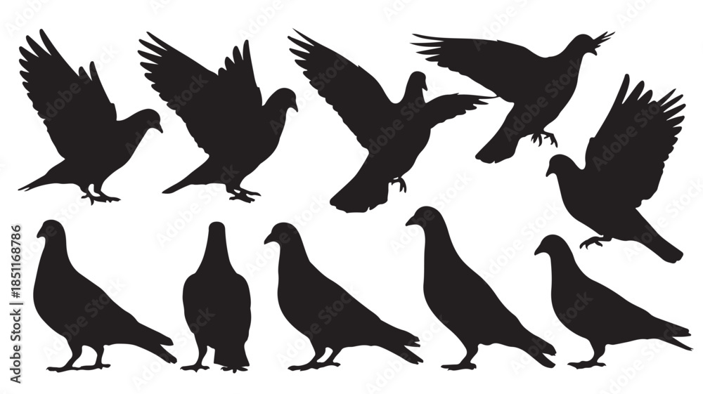 Obraz premium Pigeons in various poses silhouette in black on white background for graphic design