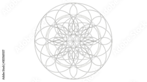 Intricate Black Geometric Flower of Life Design.