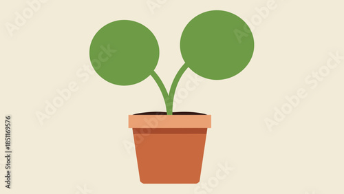 Potted Plant with Green Leaves.