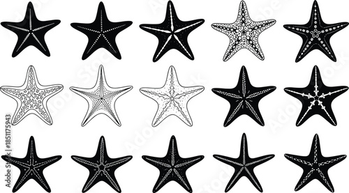 Black and white starfish silhouette collection featuring various sea star species in hand drawn line art style for nautical and beach theme designs