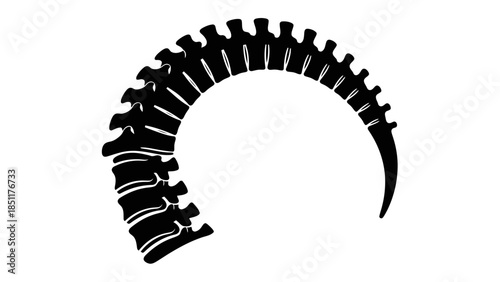 vector illustration of a black and white background