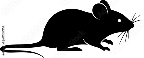 Silhouette of a mouse with whiskers and a long tail, ideal for illustrative purposes