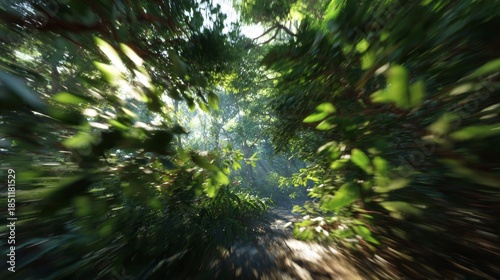 Lush jungle path with sunlit leaves, vibrant green, serene nature, and travel adventure.