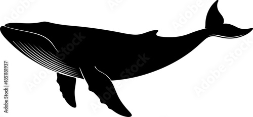 Silhouette of a majestic humpback whale swimming gracefully through the ocean