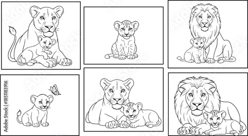 Lion family line art illustration set, cute lion cub with mother and father, wildlife sketch collection, animal outline drawing, children coloring book design