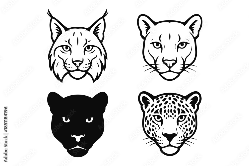 Fototapeta premium Wild cat heads collection: lynx, jaguar, leopard, and black panther in silhouette and line art