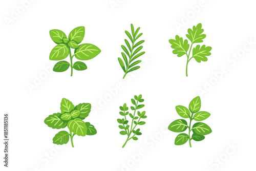 Herbs collection: basil, rosemary, parsley, mint, thyme, oregano in flat design