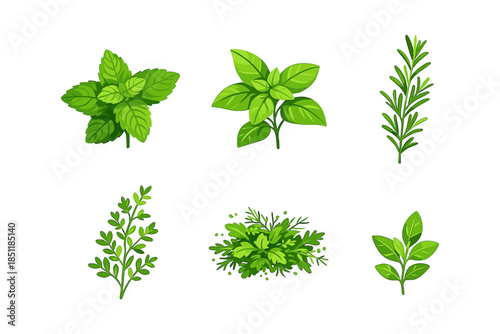 Fresh herb collection: mint, basil, rosemary, thyme, parsley, laurel in vibrant green flat style