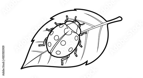 Line art ladybug on leaf: simple and detailed black and white design