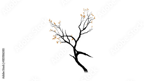 silhouette of a barren tree