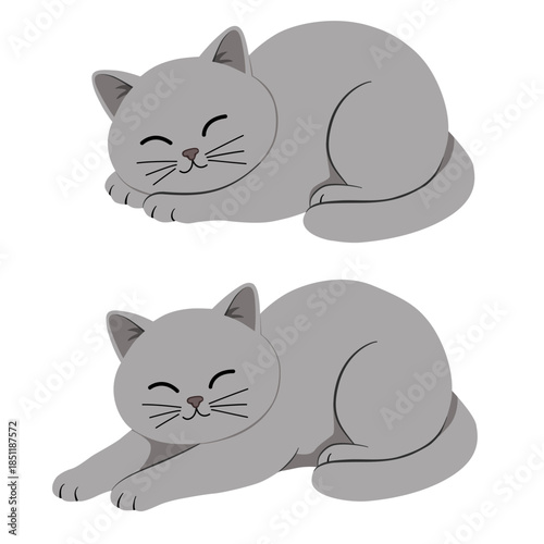Funny Gray British Shorthair Cat Sitting on Hind Legs, Cute Vector Illustration for Children's Books, Stickers, and T-shirt Prints. Sleeping and Stretching Cats