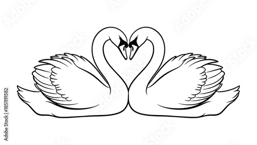 A white tulip flower vector illustration featuring two elegant swans forming a heart symbol with their wings to represent love and nature in a black silhouette art design for a wedding