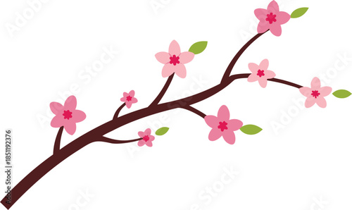 Delicate cherry blossom branch