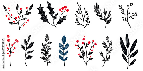 Hand drawn vector set of winter foliage branches with red berries and leaves minimalist botanical elements for holiday decoration and design