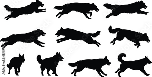 Set of Black Dog Silhouettes Featuring Different Breeds Running Jumping and Standing Positions for Animal Lovers and Pet Graphic Design