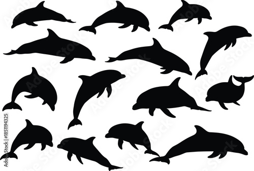 Set of Dolphin Silhouettes in Various Swimming Poses and Jumping Actions Isolated on White Background for Marine Life Graphic Design