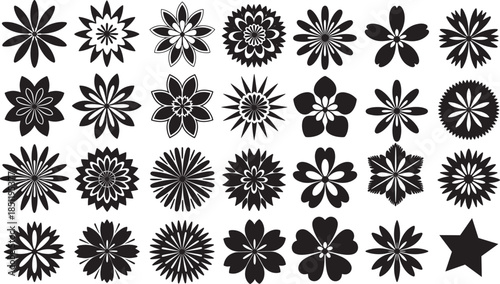 Collection of black floral designs and star shape