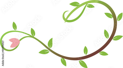 Elegant vine with single flower