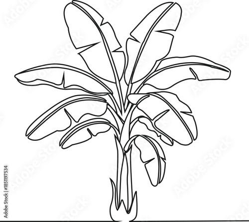 A meditative banana plant drawn in a single line.