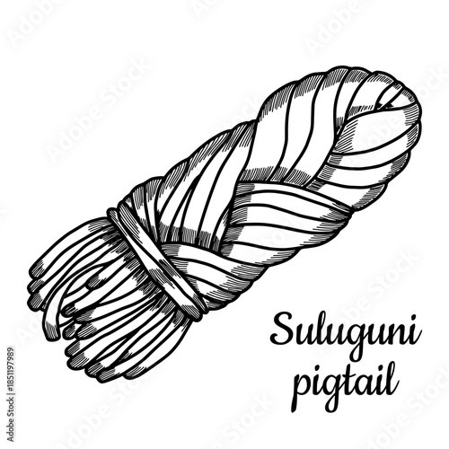 Suluguni Pigtail Hand Drawn illustration. Sketch Traditional Georgian Smoked Cheese. Engraving Style Dairy Product Drawing. Design for packaging, restaurant menu or organic farm brand design. Vector