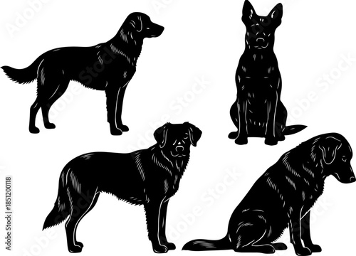 Fluffy Dog Illustration Collection