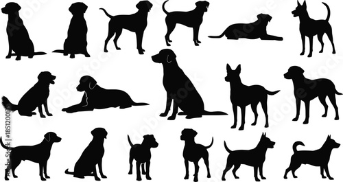 Dog silhouette collection, various breeds poses, sitting standing running dogs, pet animal icons, black white vector illustration set, isolated, background