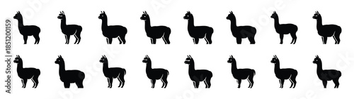 alpaca icons collection. Animal icon set. Isolated on White background