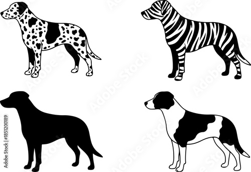 Fluffy Dog Illustration Collection