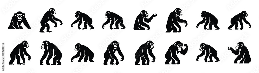 Obraz premium chimpanzee icons collection. Animal icon set. Isolated on White background