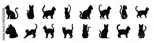 cat icons collection. Animal icon set. Isolated on White background