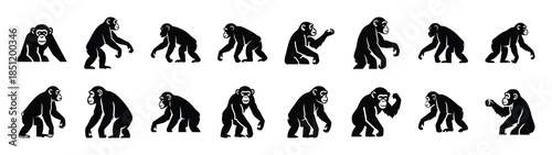 chimpanzee icons collection. Animal icon set. Isolated on White background