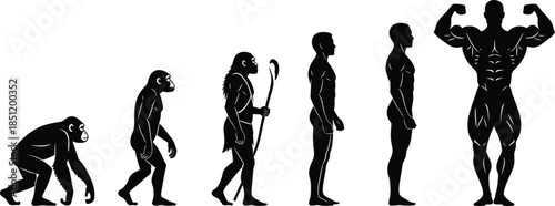 Human evolution silhouette sequence from primate to modern muscular man, bodybuilding transformation concept, strength progress illustration isolated white background vector