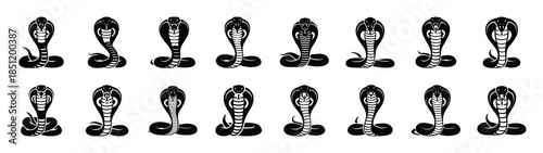 cobra icons collection. Animal icon set. Isolated on White background