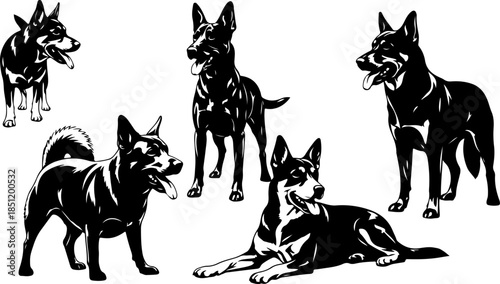 Fluffy Dog Illustration Collection