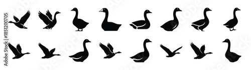 goose icons collection. Animal icon set. Isolated on White background