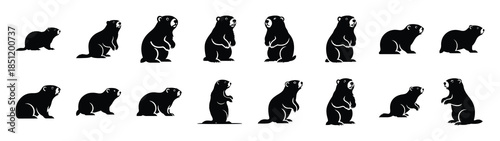 Foto groundhog icons collection
