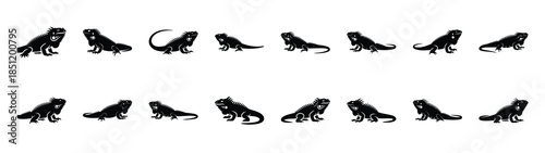 iguana icons collection. Animal icon set. Isolated on White background