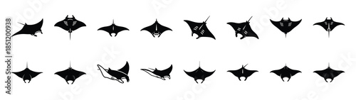 manta ray icons collection. Animal icon set. Isolated on White background