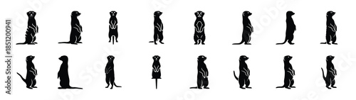 meerkat icons collection. Animal icon set. Isolated on White background