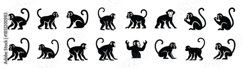 monkey icons collection. Animal icon set. Isolated on White background