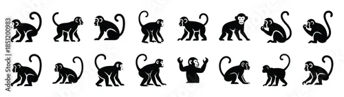 Fototapeta monkey icons collection. Animal icon set. Isolated on White background