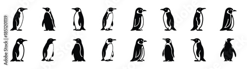 penguin icons collection. Animal icon set. Isolated on White background