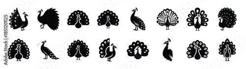 peacock icons collection. Animal icon set. Isolated on White background