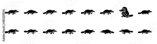 platypus icons collection. Animal icon set. Isolated on White background