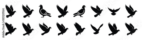 pigeon icons collection. Animal icon set. Isolated on White background