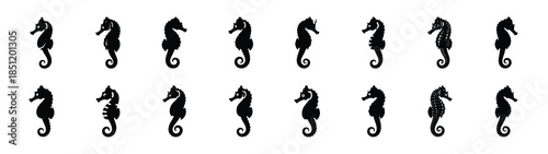 seahorse icons collection. Animal icon set. Isolated on White background